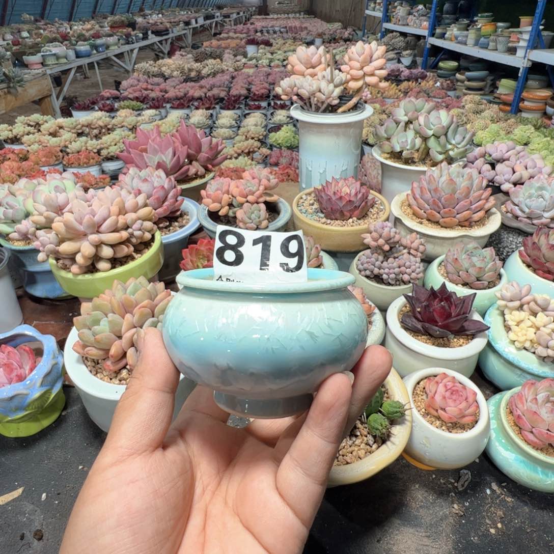 特价花盆凑满50发货 内口7