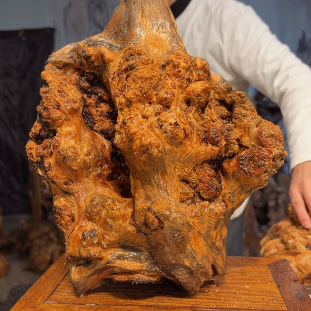 半***仙木三丰琥珀木 天然摆件28