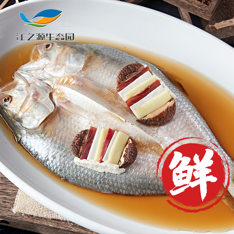 【大鱼专拍一物一拍】现捞现称源头基地原生态活水养殖鲥鱼