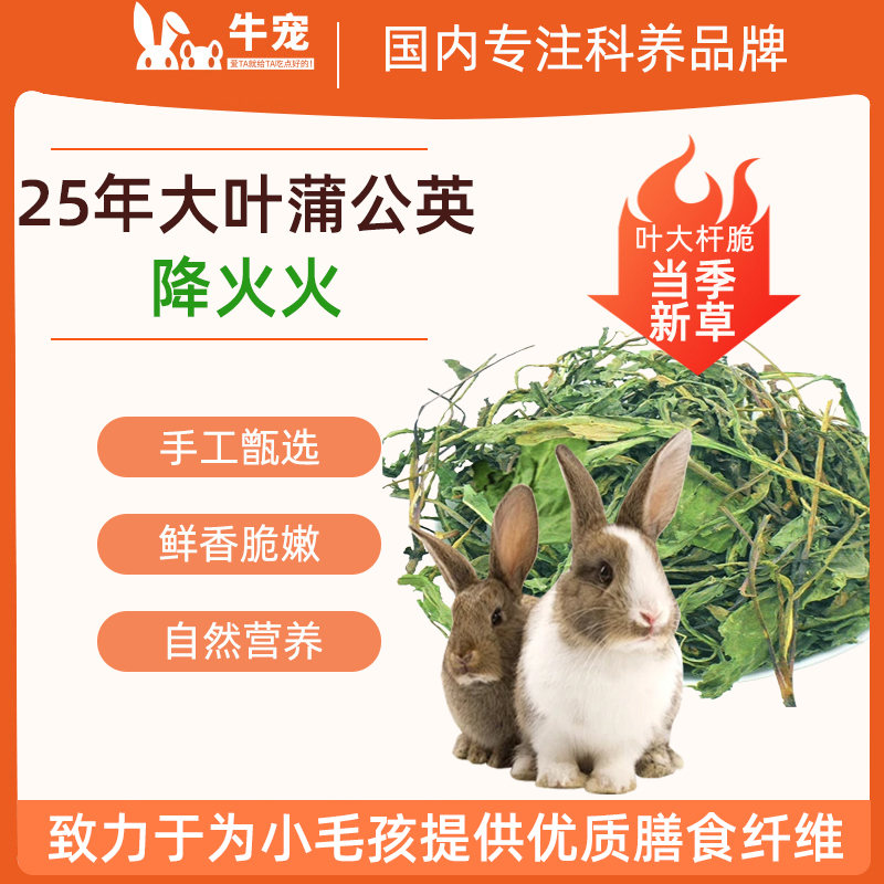 牛宠天然大叶蒲公英草净重500g兔子荷兰猪龙猫干草天竺鼠小零食