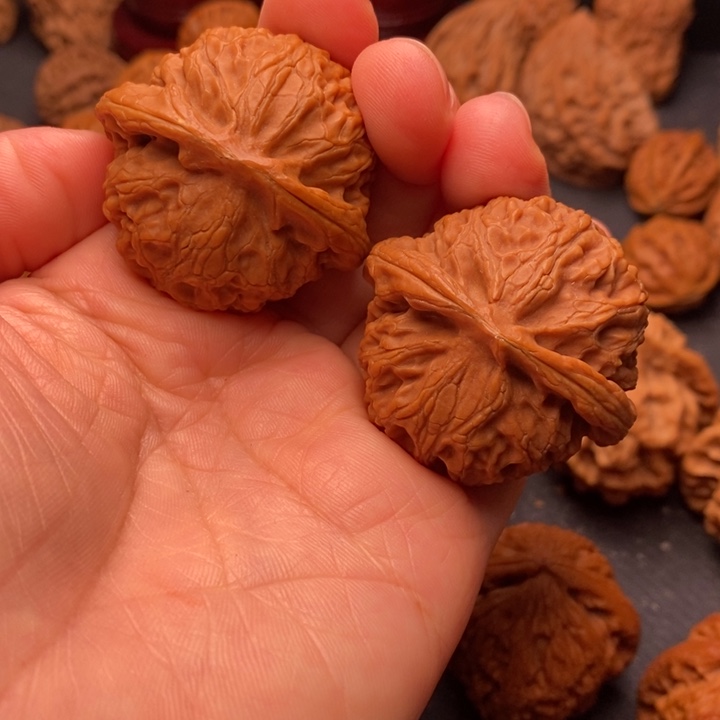 秦岭野生文玩核桃