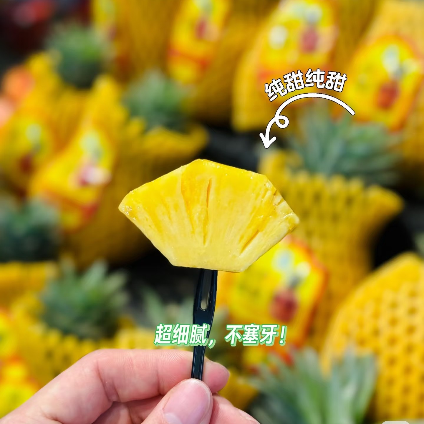 海南金钻凤梨一个