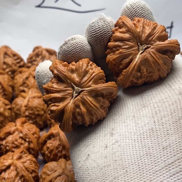 x***丶手串/手链核桃工艺品