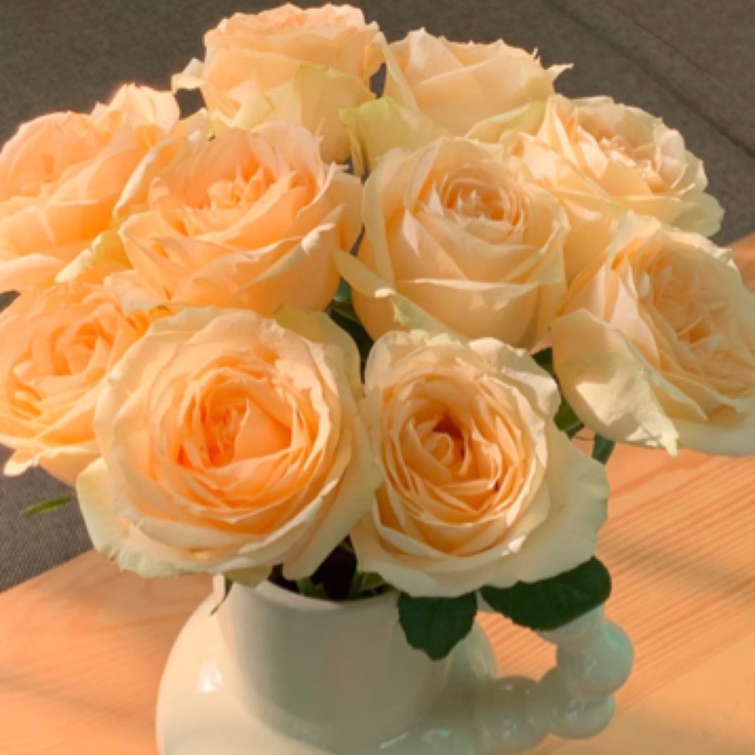 云南鲜花直发【香槟玫瑰蜜桃雪山】经典玫瑰高级氛围感