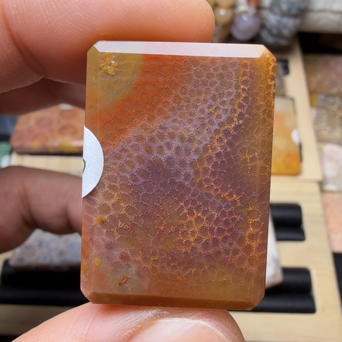 硅化玉未镶嵌纯天然色有机玉石保真色