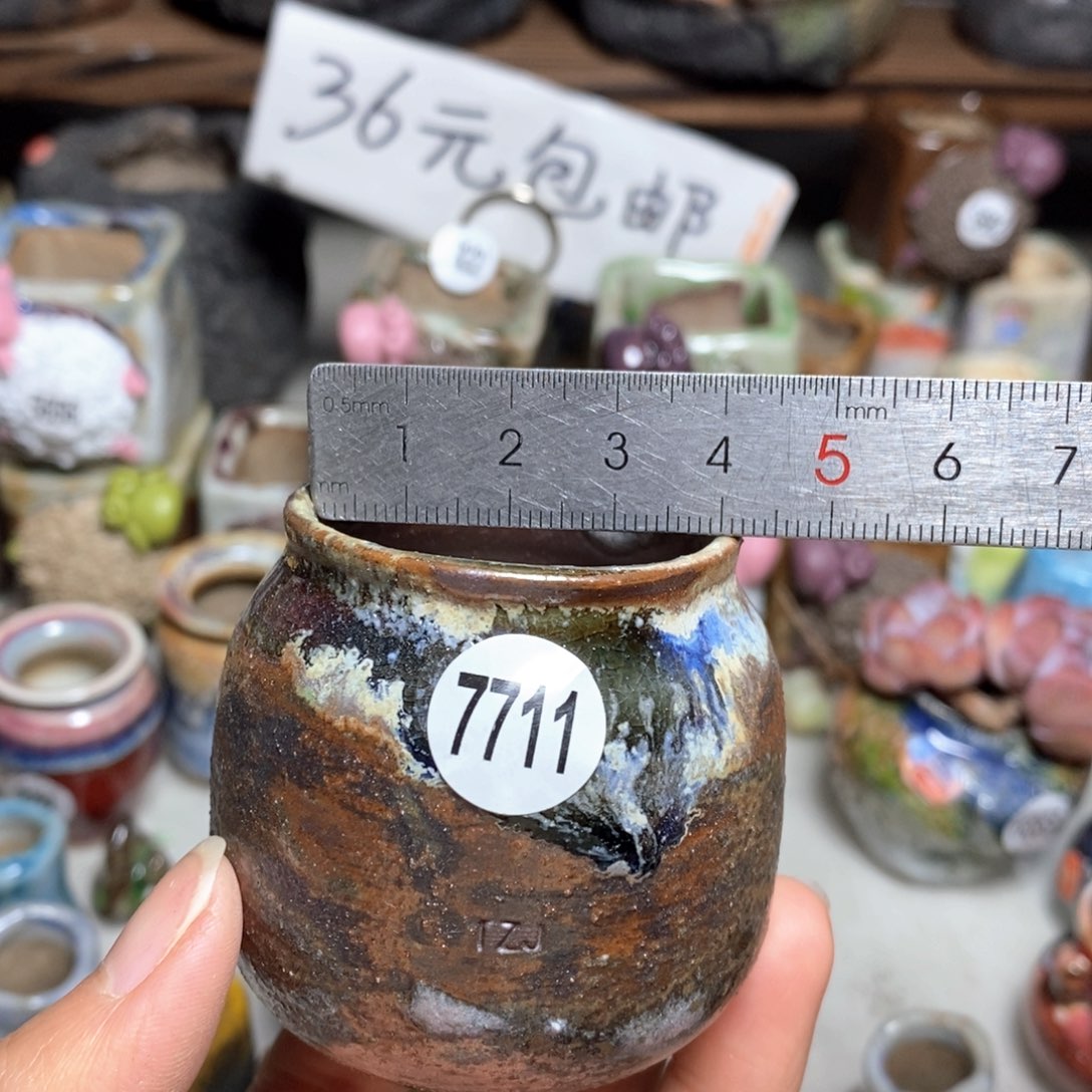 拍5送一个小礼物