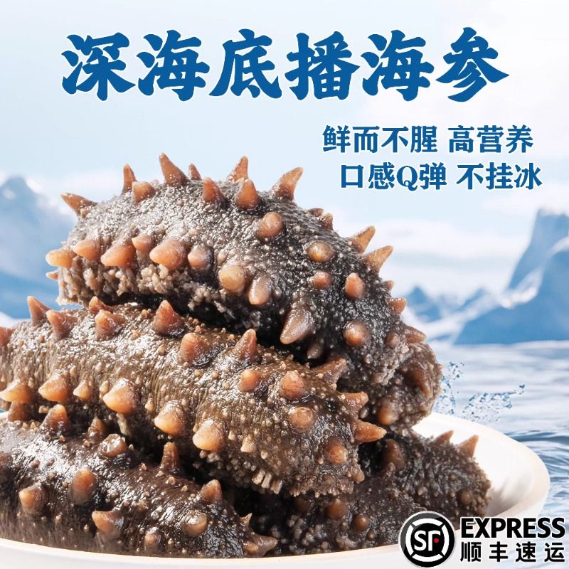 6A款6-7厘米大连底播辽刺参深海鲜食海参肉质厚实口感劲道