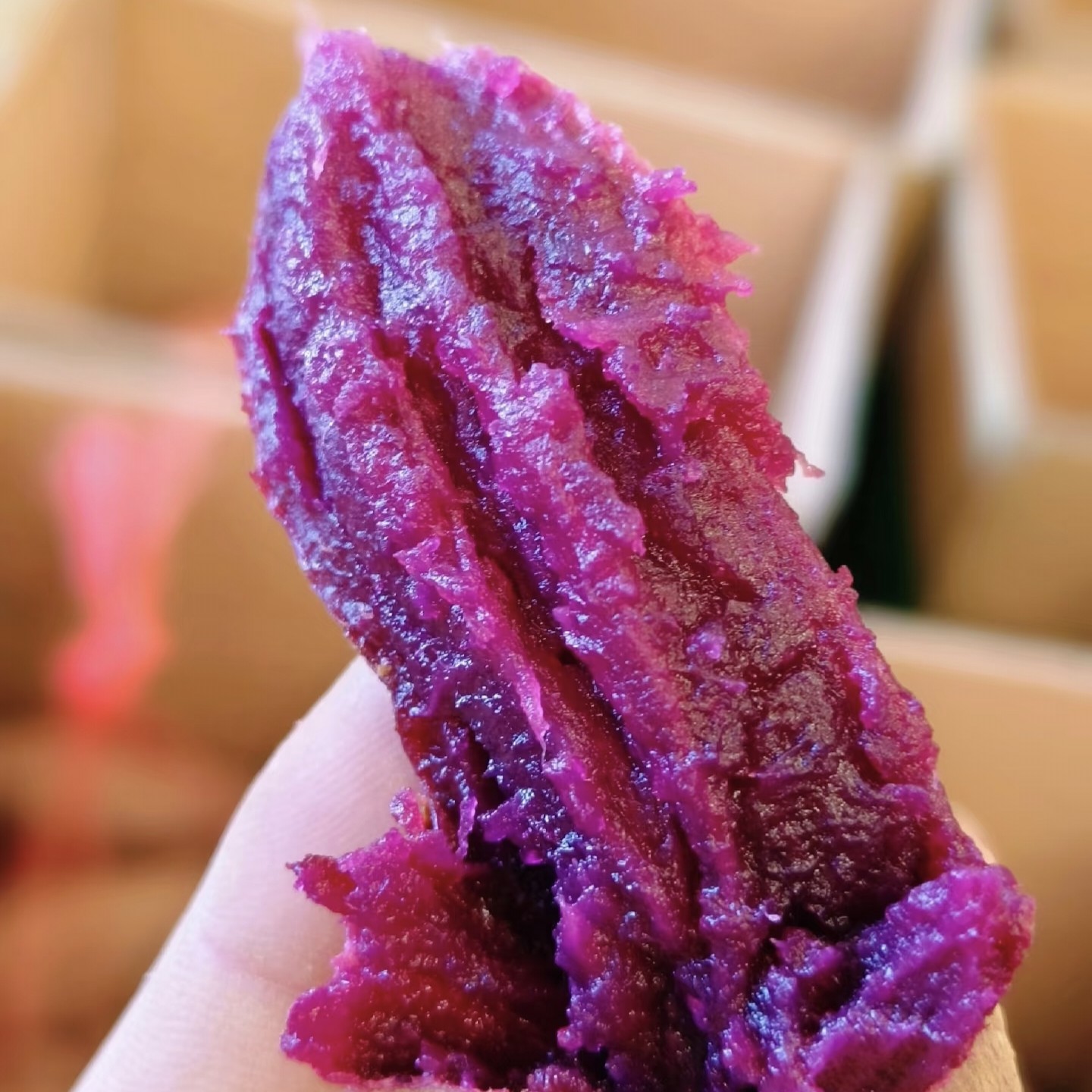 【九鼎直发】山东紫罗兰紫薯沙地紫心蜜薯软糯香甜粗粮早餐