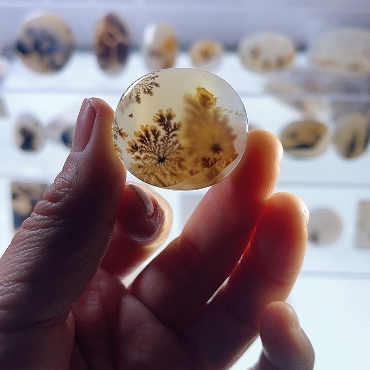 【闪购商品】玛瑙/玉髓珠宝半成品未镶嵌