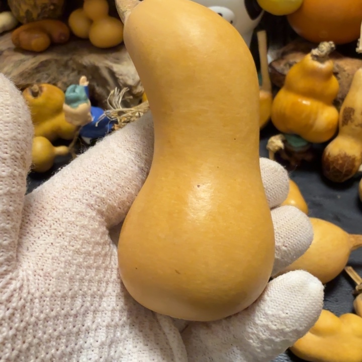 1***道6666666666666677777