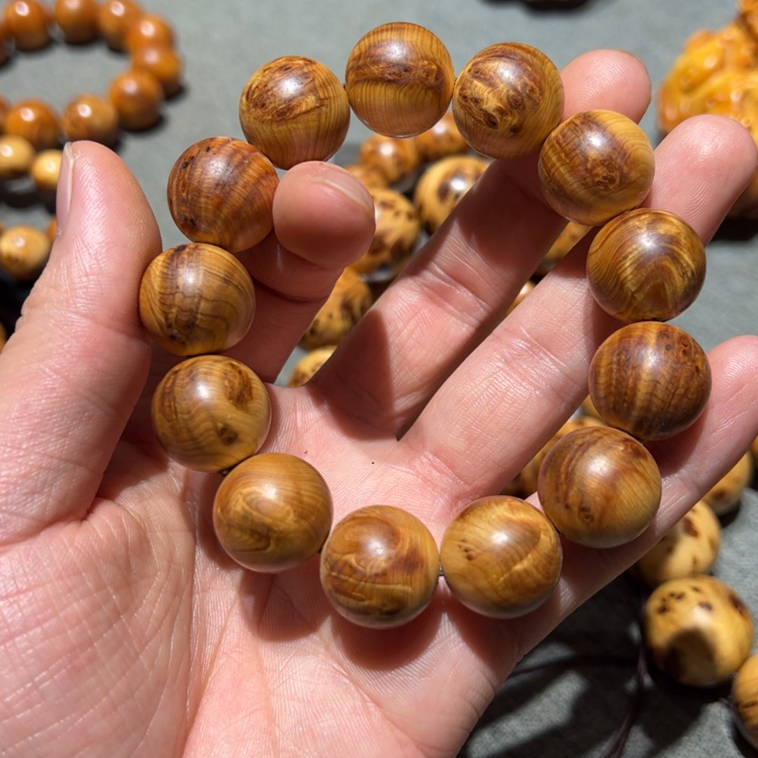 太行崖柏陈化太行