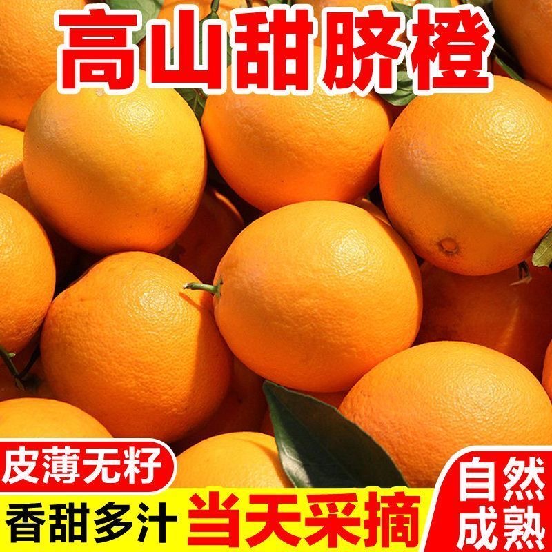 【产地直发】高山脐橙应季新鲜水果自家农场现香甜爆汁现摘现发