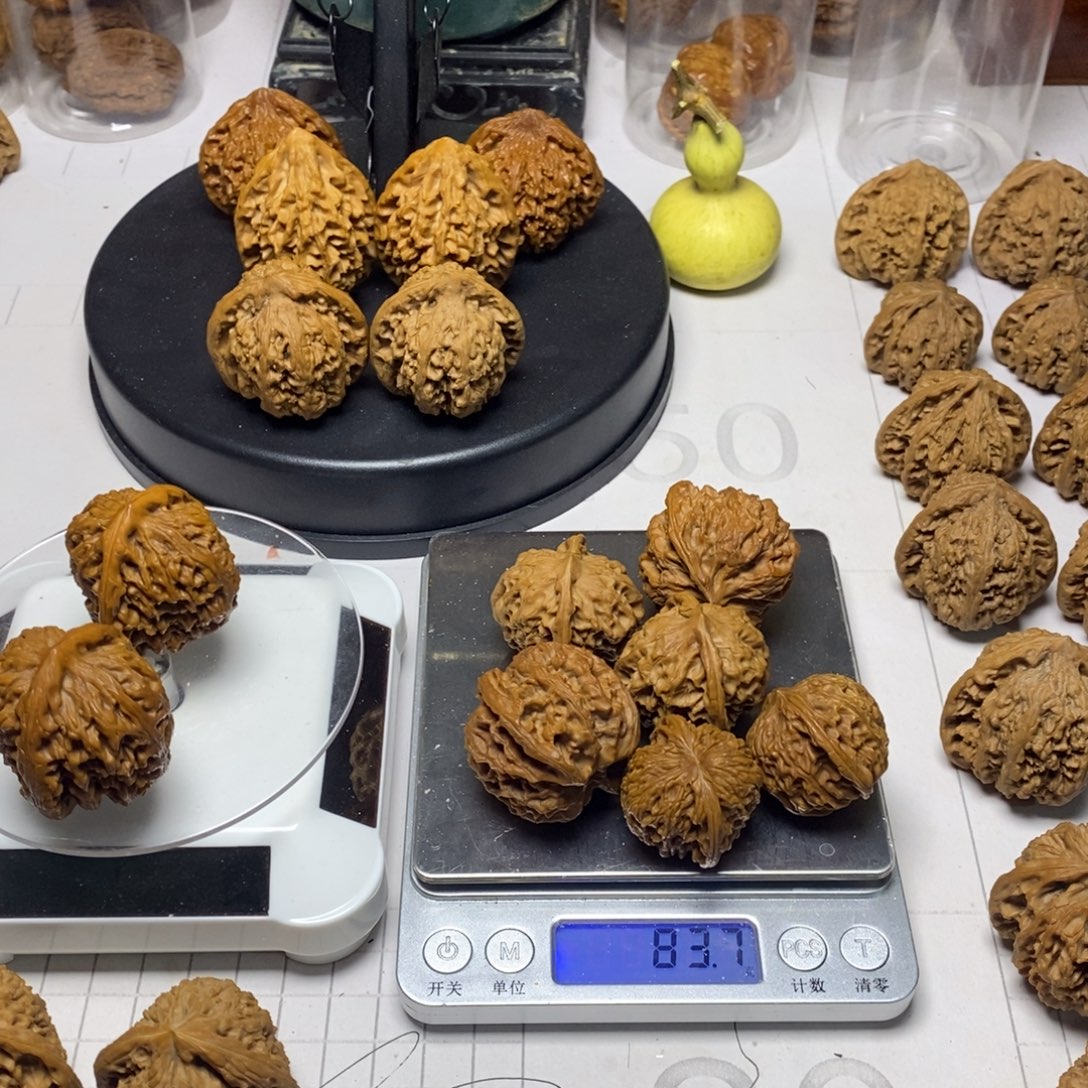 大叶紫檀（黑酸枝木类）