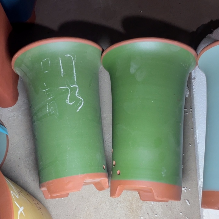 紫砂紫砂紫砂紫砂 