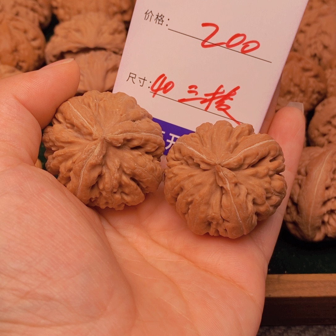 游***魂文玩核桃霸王龙三棱