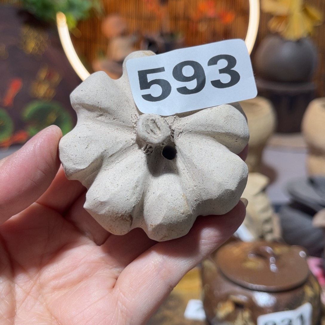 木村信弘柴烧保平