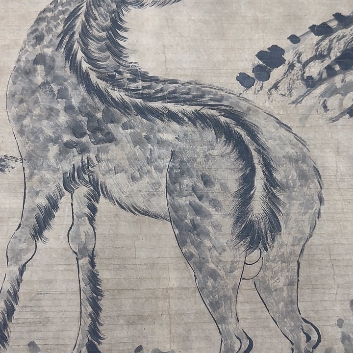 绘画登**遠花鸟作品，精品挂画