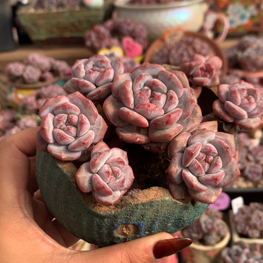 哈哈哈哈哈哈哈哈10