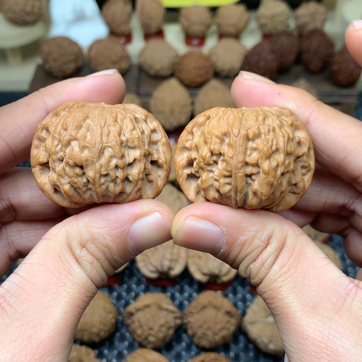 【闪购商品】文玩核桃把件全品山子尖磨盘狮子头43文玩核桃