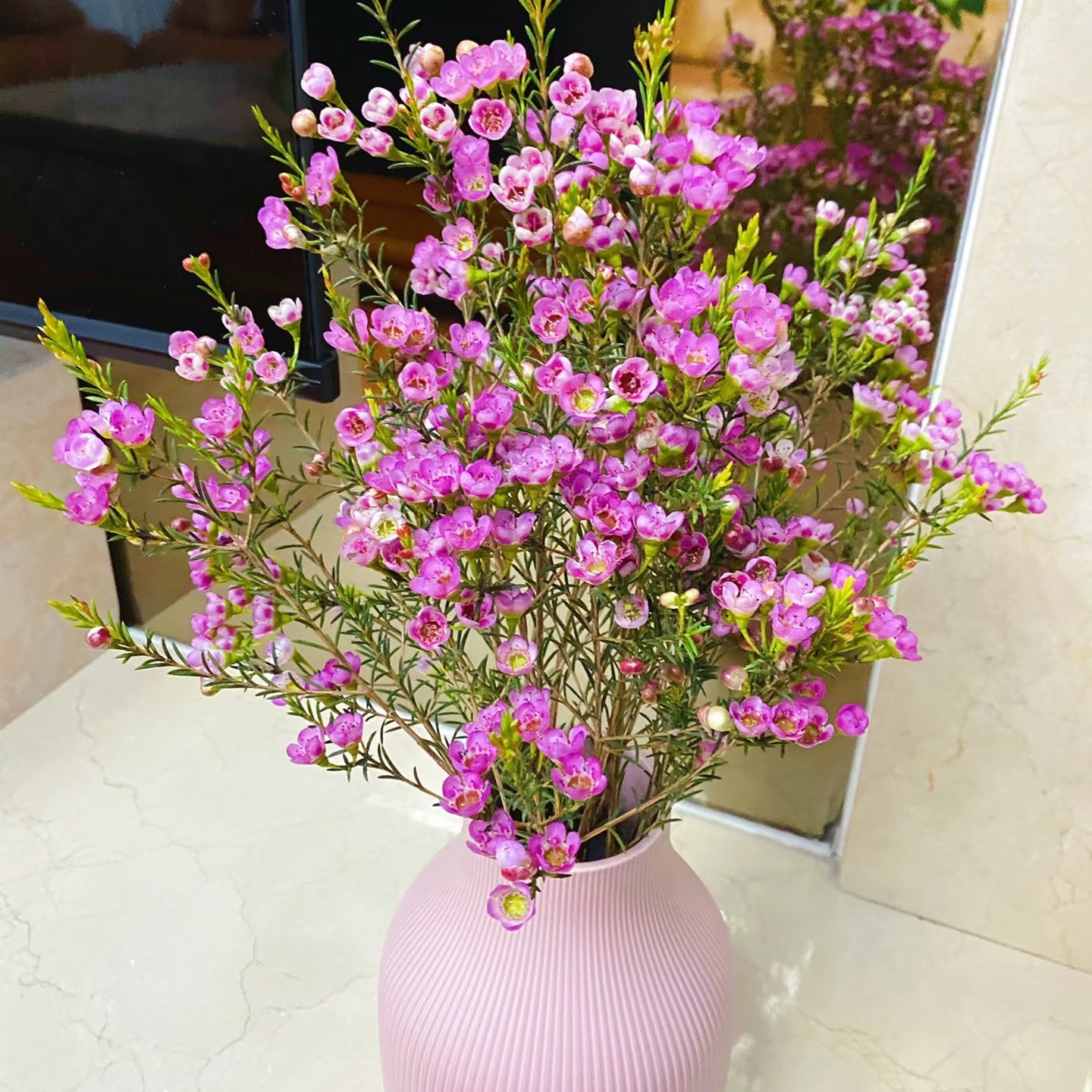 ♛腊梅♛ 粉色全场两单送配草 三单送花瓶  拒收不售后