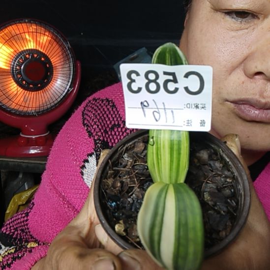 平***福完全开放7777777777