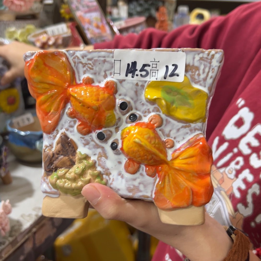 多肉花盆爱退拉黑满20发