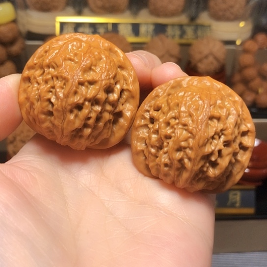 精品野生小众金麒麟