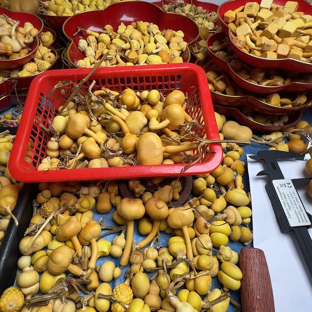 、****葫芦小葫芦天津嘴