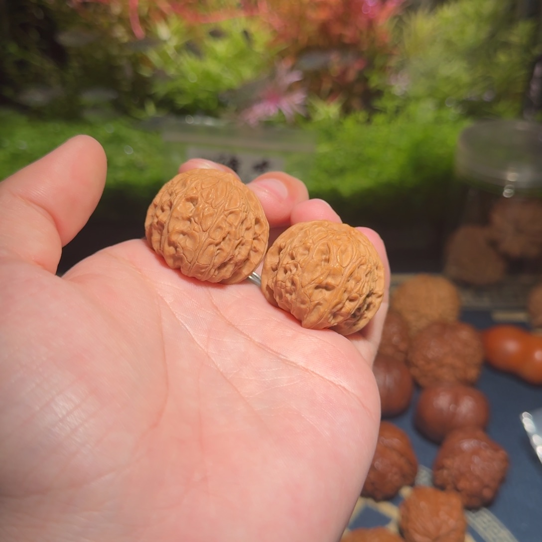 856号34乾隆磨文玩核桃