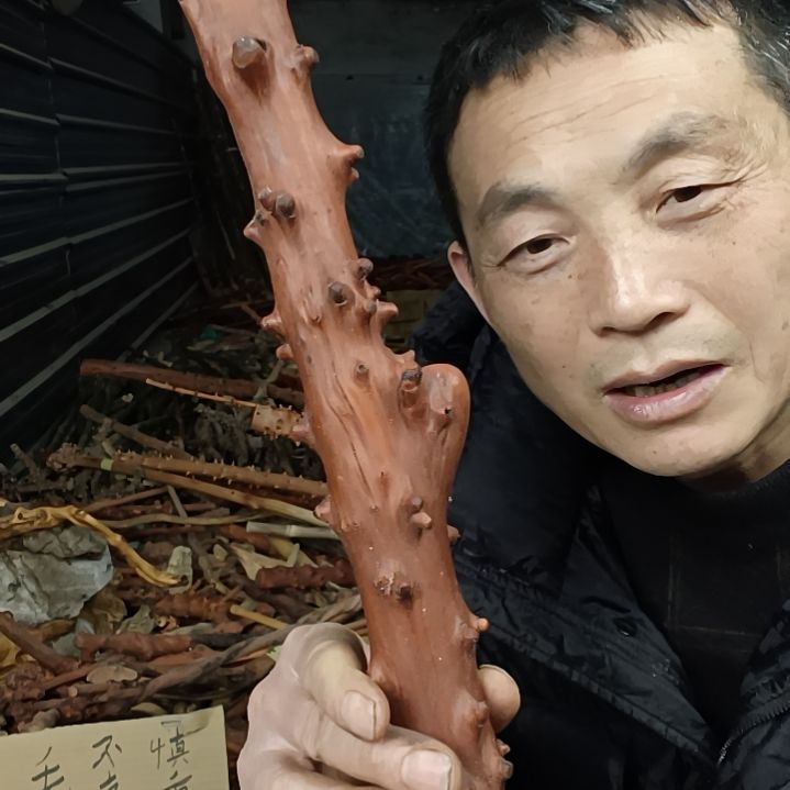 稳定木用****1贵州檬子木   铁马鞭   根艺  半成品