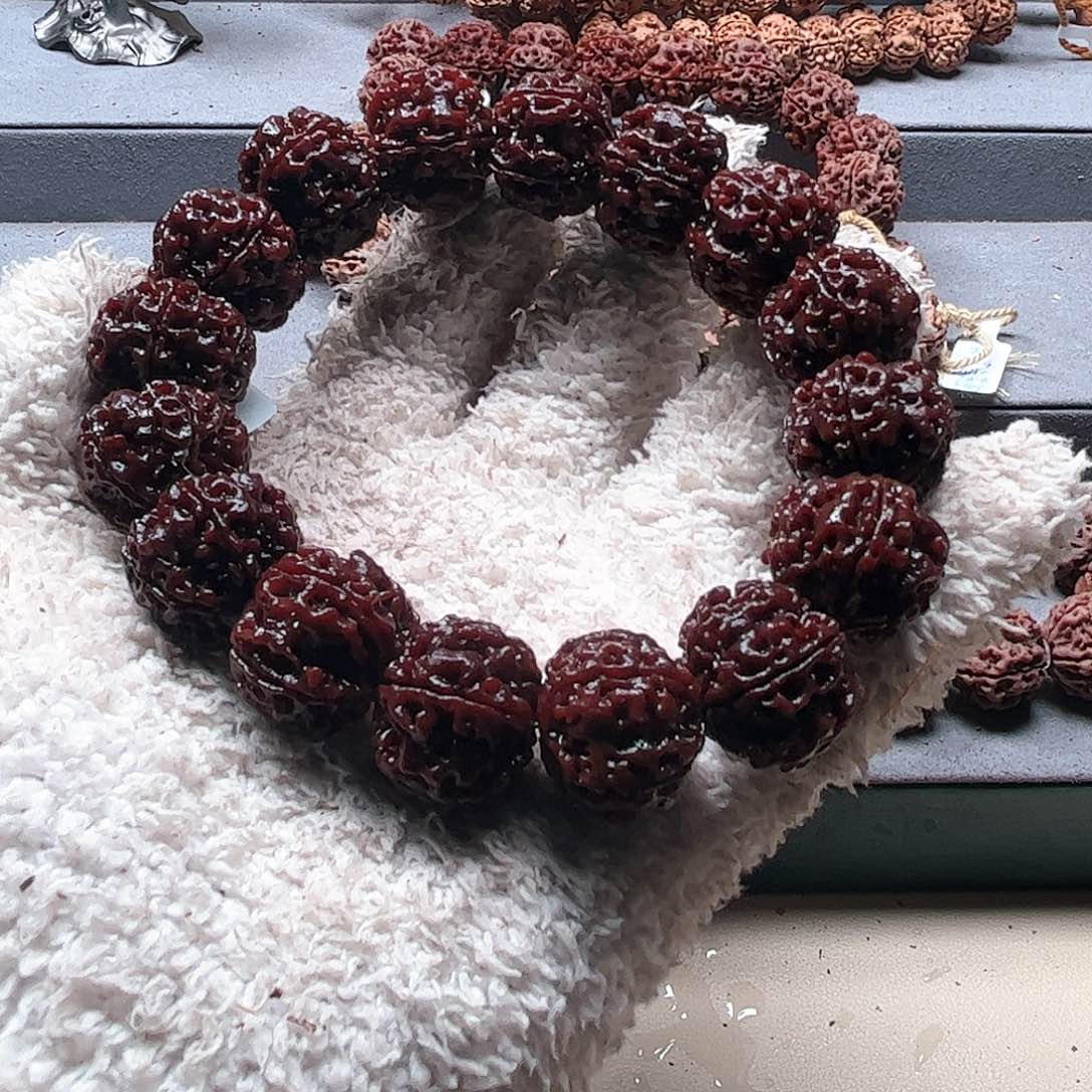 金刚菩提手串23红褐皮