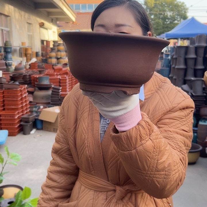 茶林小碗21花盆花盆花盆里