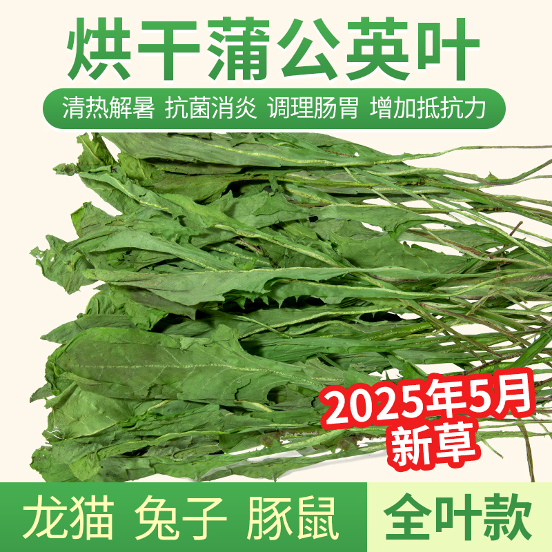蒲公英干草宠物保健天然优质烘干牧草兔子除眼屎龙猫豚鼠祛火解暑