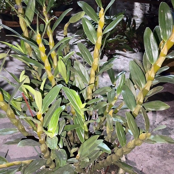 完全开放无需担心