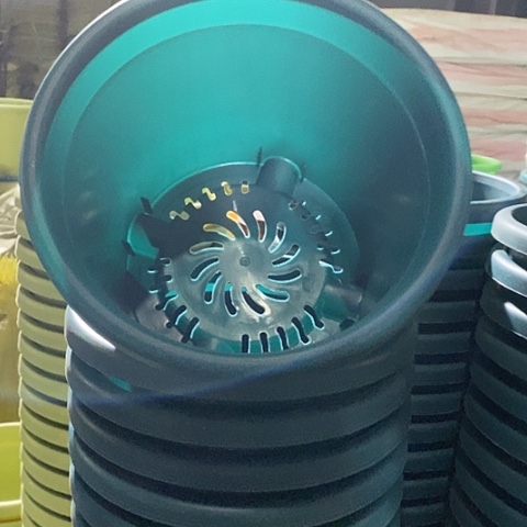 树脂四季3号军绿无托10个