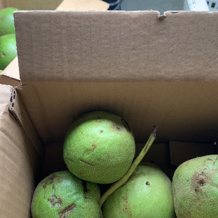 文玩核桃吊坠霸王龙青皮两对，大果不退不换