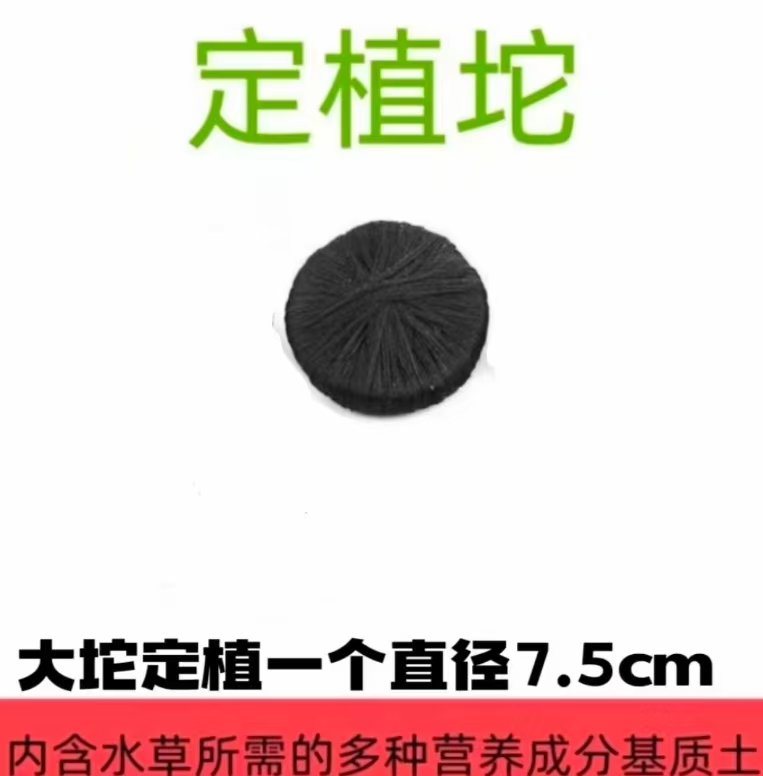 DYI水草定植坨(内含丰富营养）