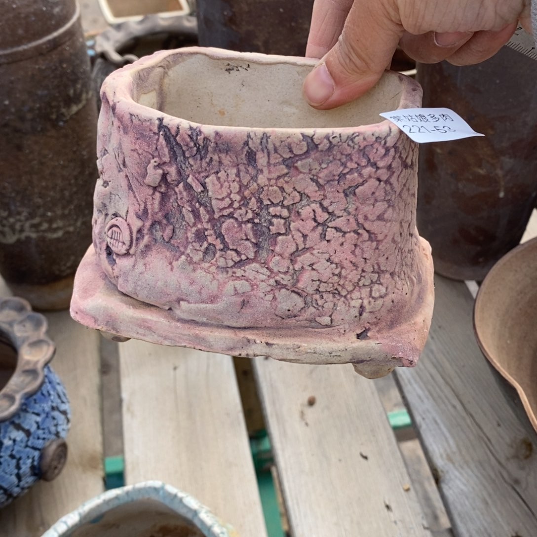 红陶向****儿53号多肉盆一呀