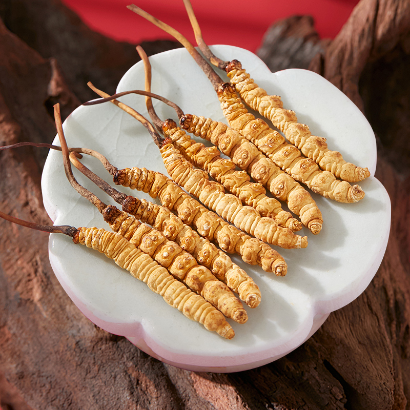 【东巴虫草】2025新冬虫夏草5根/克-10根正品虫草送礼