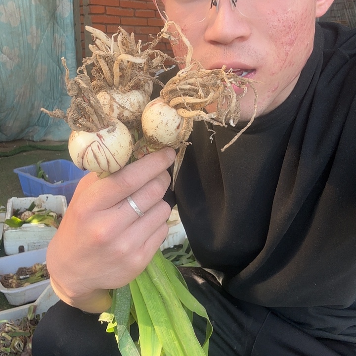 浮***茶完全开放一物一拍霓裳