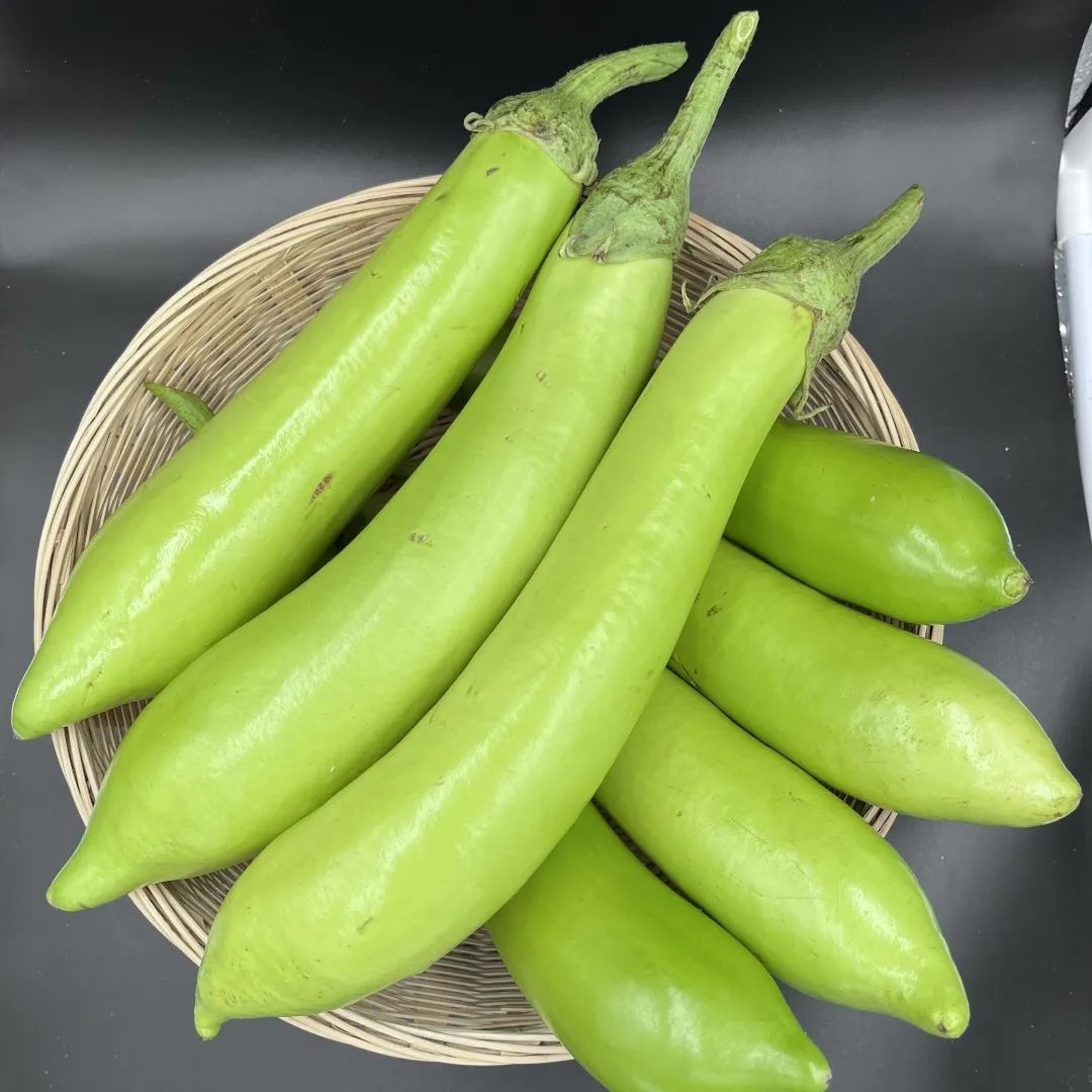 【上海金山】本地冰激凌青茄子