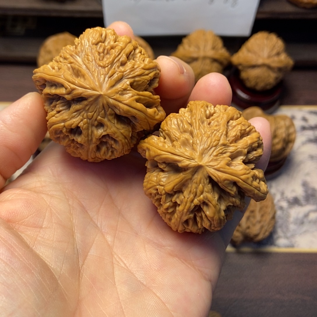 文玩核桃把件大粗筋尺寸46