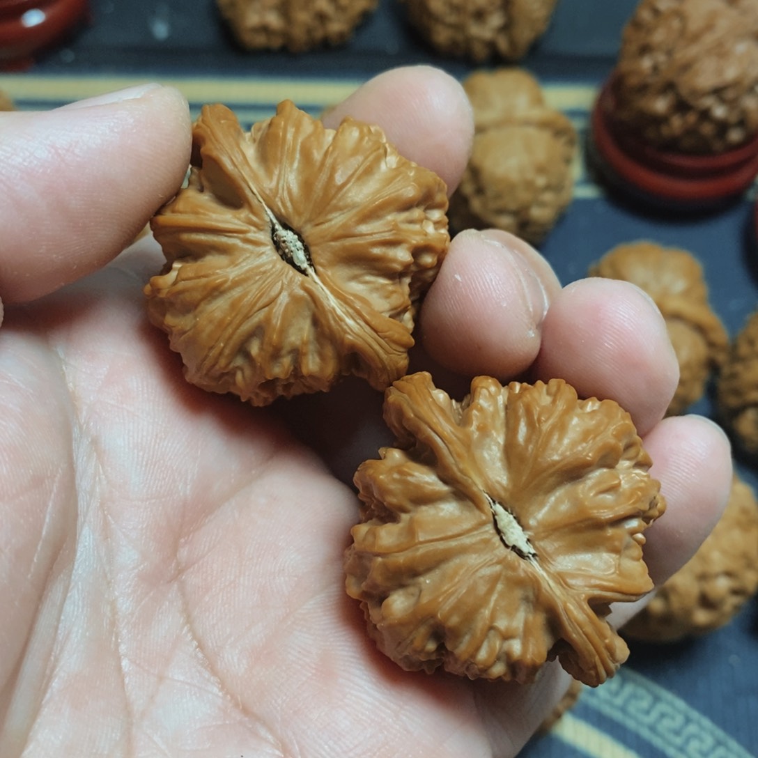 文玩核桃把件白狮子38 56.6
