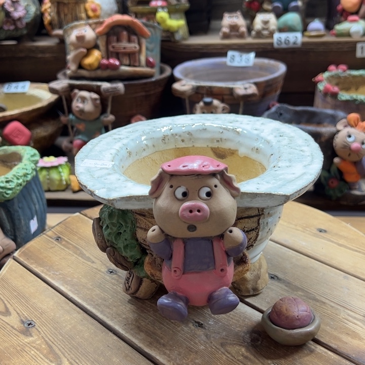 嘻哈多肉花盆百搭