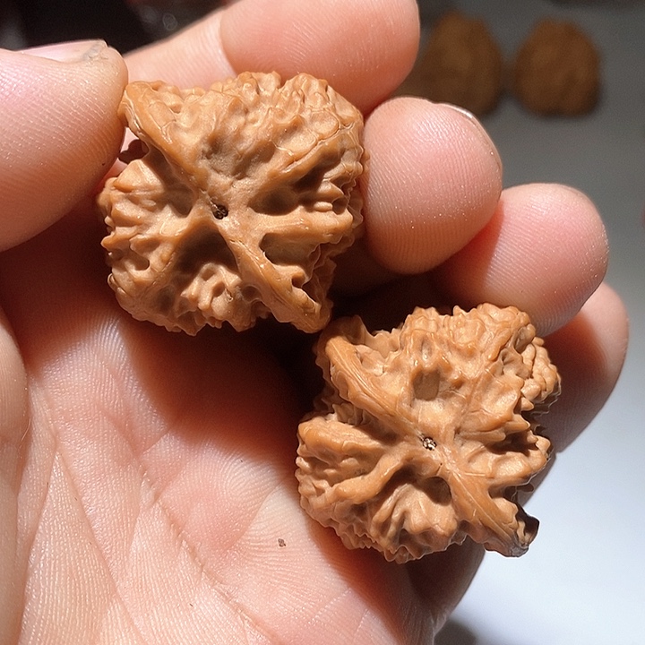 吊坠文玩核桃野狼