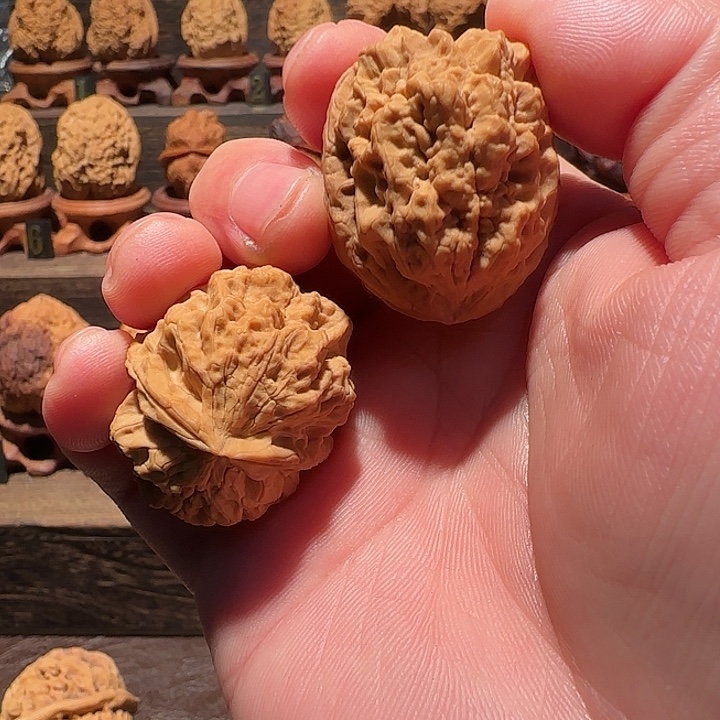 今***悔核桃云铁爆米花32小手捻