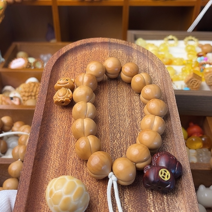 小***阳柯基……………………………………