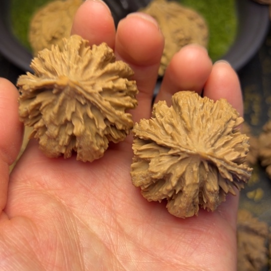 文玩核桃把件秦岭核桃7