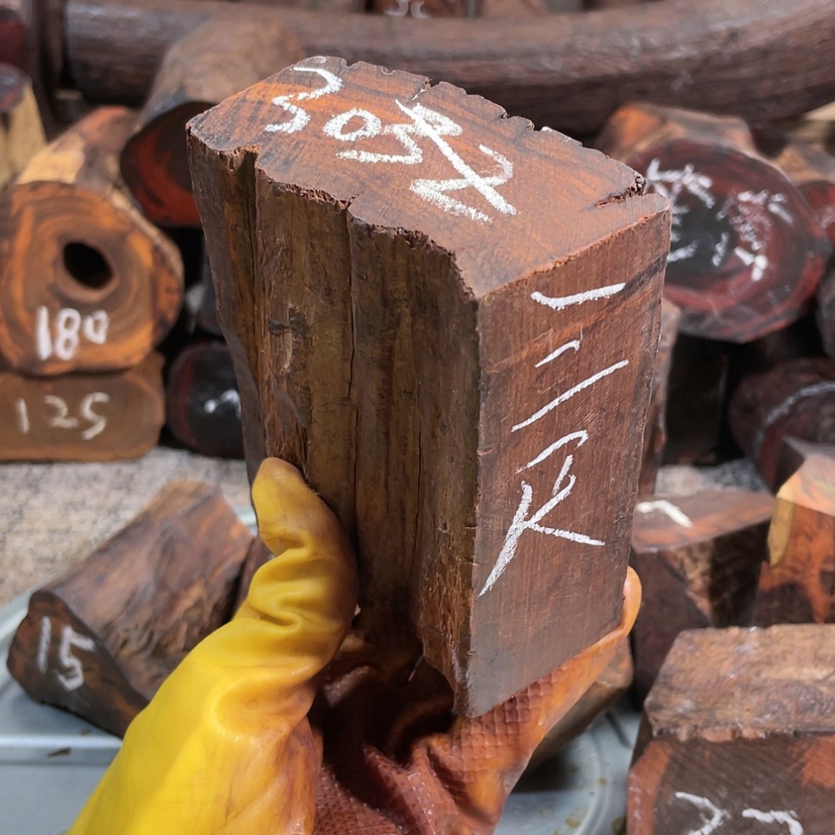 【闪购商品】红酸枝木类交趾黄檀