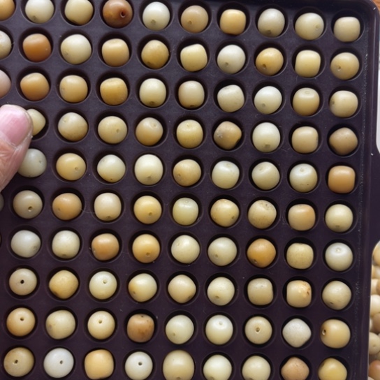 吊坠白玉菩提瑕疵10-9柠檬桶珠200颗